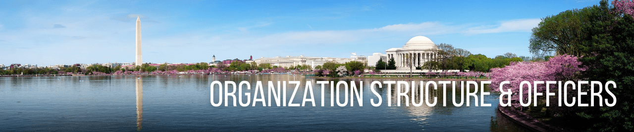 Organization Structure & Officers