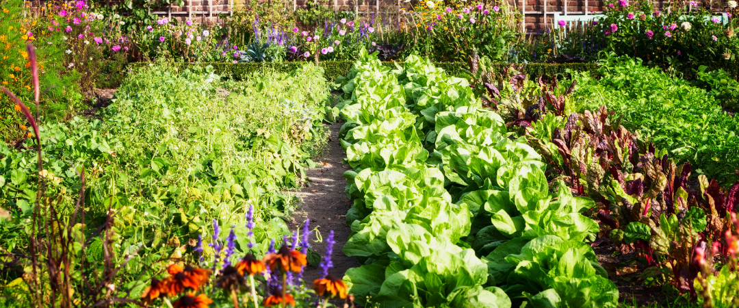 Community Gardening