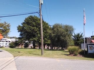 Trees_aligned